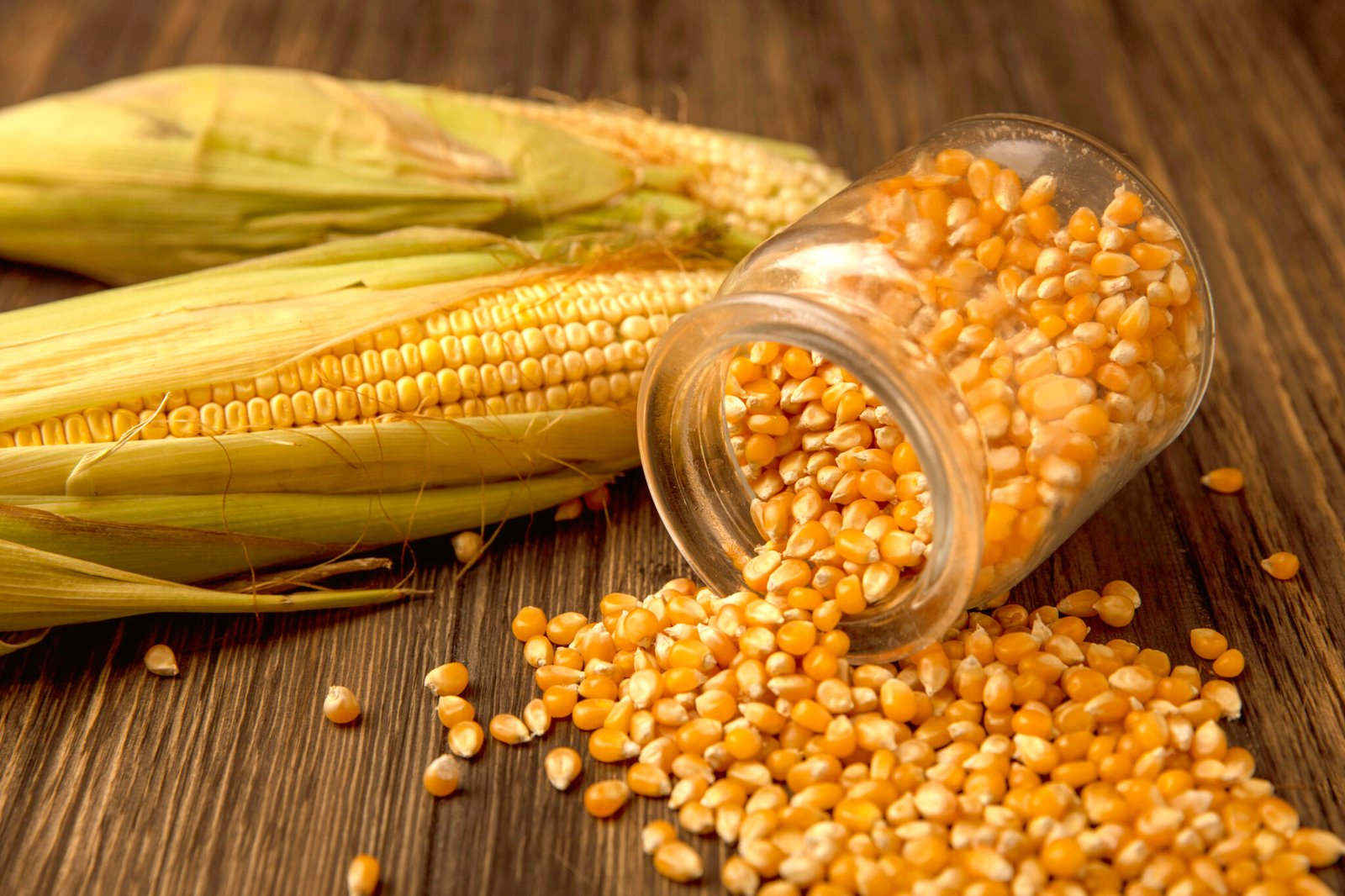 top view of organic corn kernels falling out of a glass jar with kernels isolated on a wooden background Top view of organic corn kernels falling out of a glass jar with kernels isolated on a wooden background