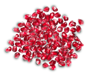 File 1736909203284 2 600x470 1 360x320