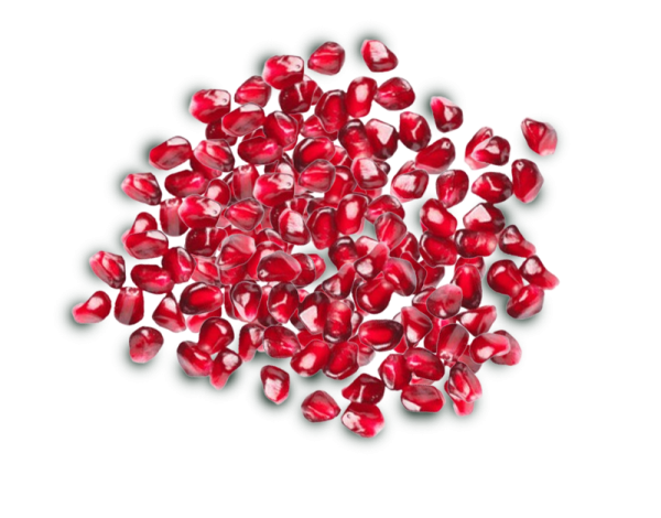 File 1736909203284 2 600x470 1